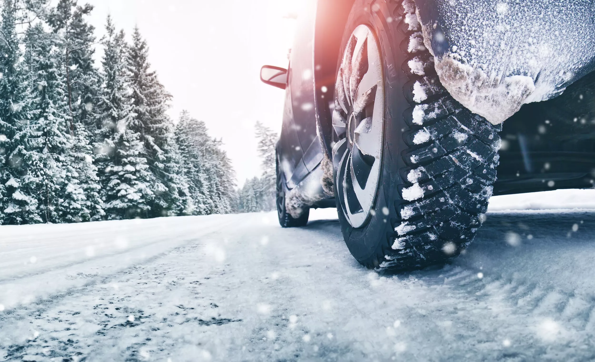 What to Expect as Ice Storm Sweeps Texas, Tennessee and Arkansas - Vimarsana News