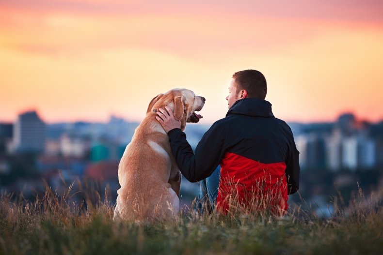 Man and dog sunset