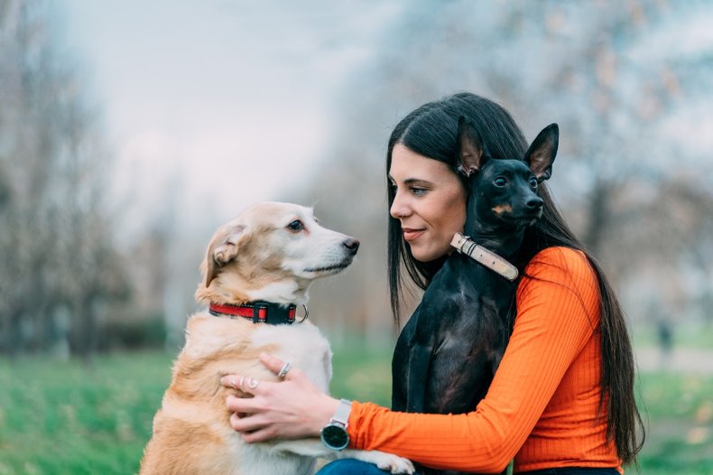 Woman expects mom to prioritize dogs