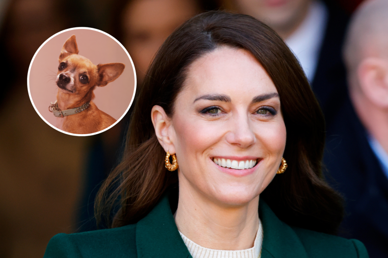Kate Middleton Chihuahua