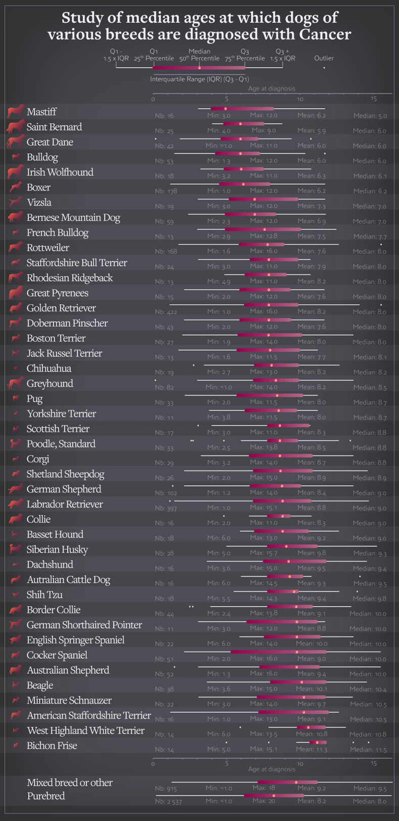 Dog Cancer Diagnosis Infographic