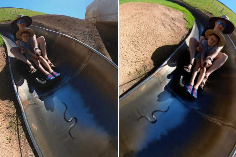 Toboggan ride snake