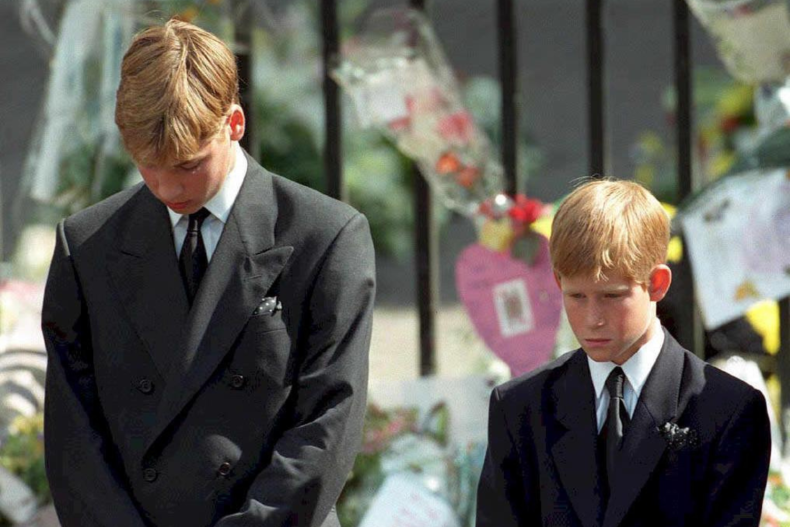 Prince William and Prince Harry Diana Funeral