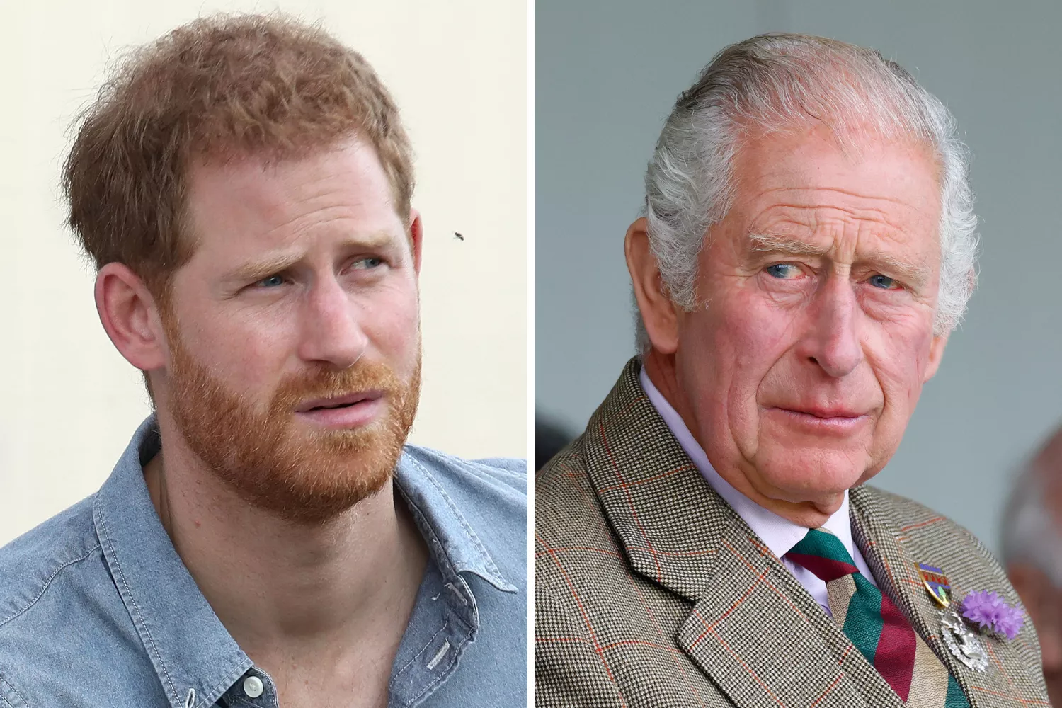 Prince Harry, King Charles Both Blasted 'Emotionally Cold' Royals in Books
