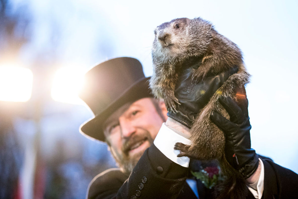 Punxsutawney Phil Video 2024 - Cahra Corella