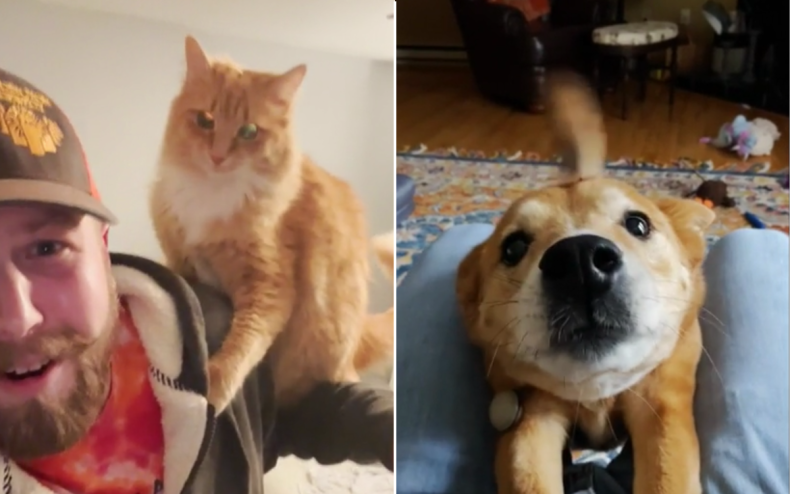 Charlie the cat and Chelsea the dog.