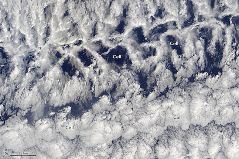 close-up of cloud cells