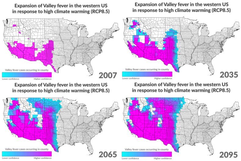 valley fever fungi spread