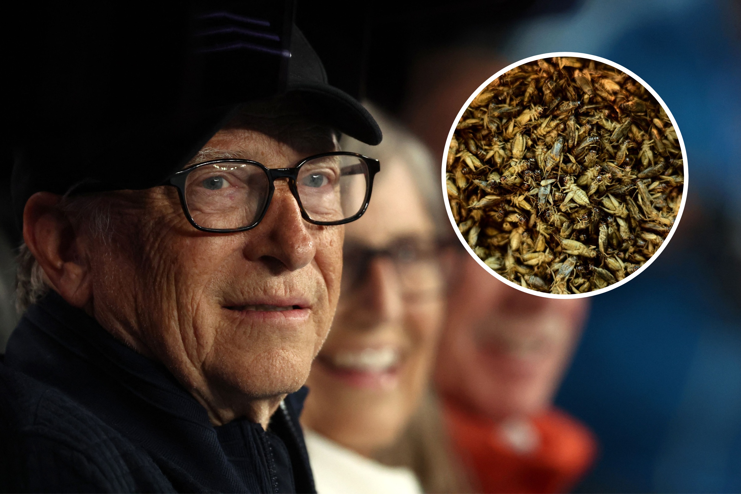 Fact Check: Has Bill Gates advised eating crickets to “stay healthy”?