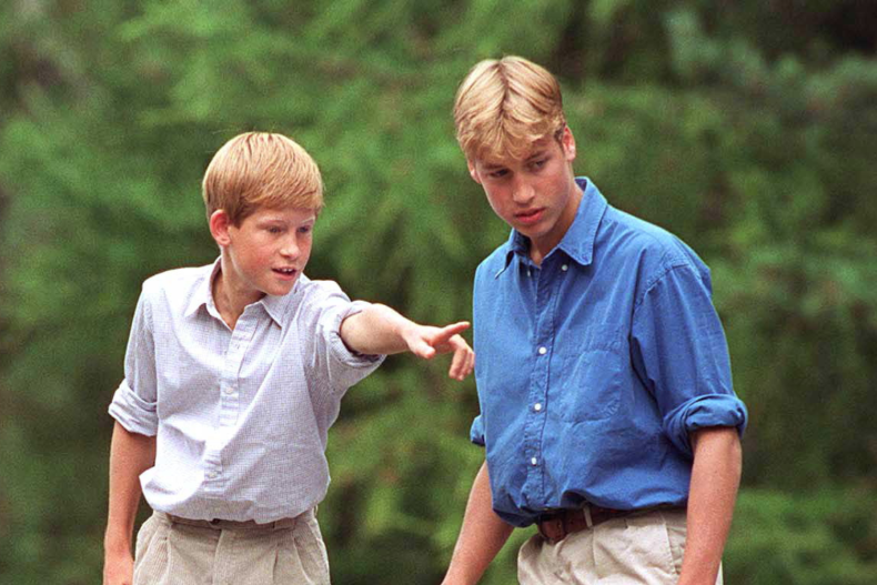 Prince Harry and Prince William
