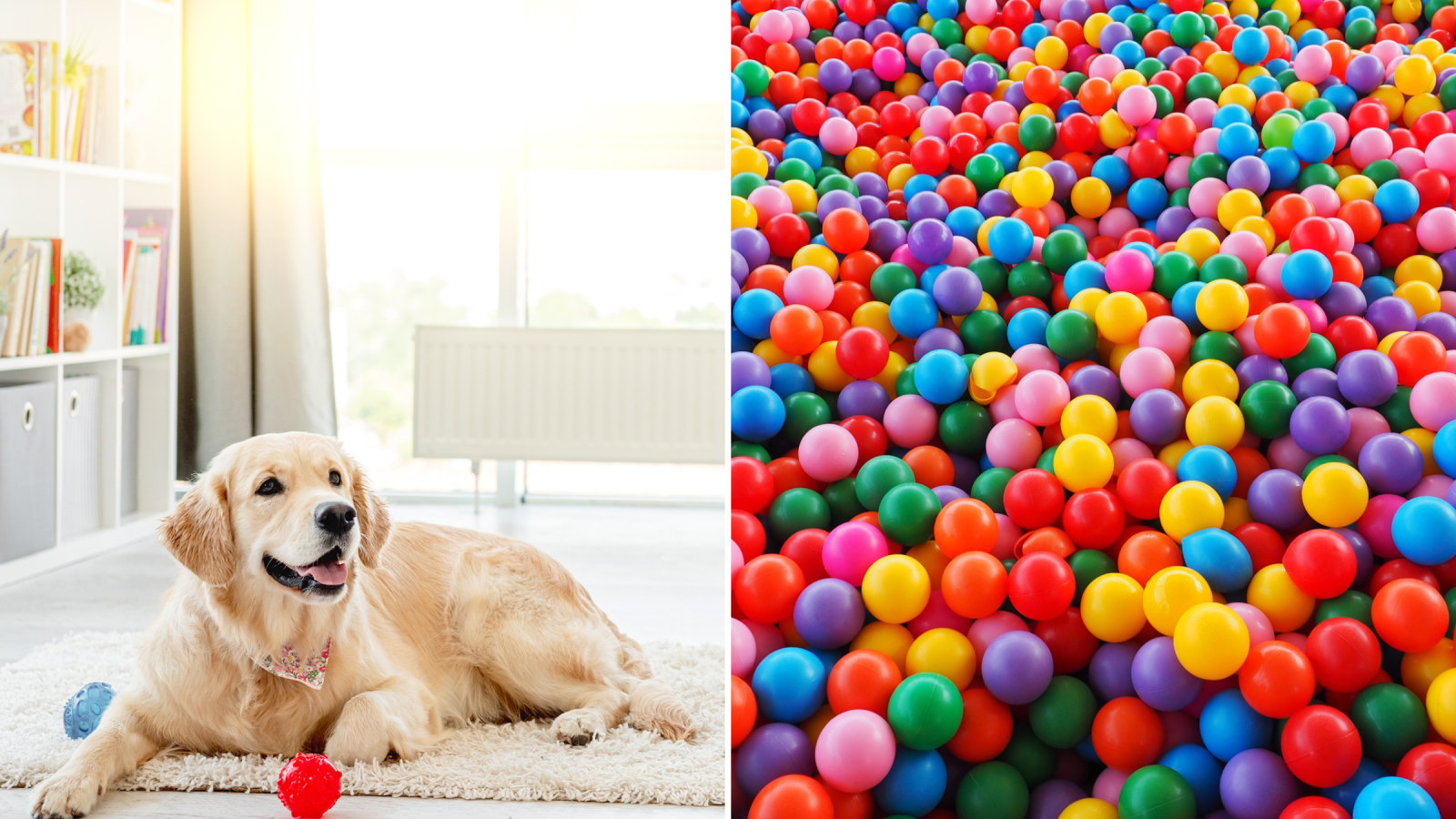 Dog safe shop ball pit balls