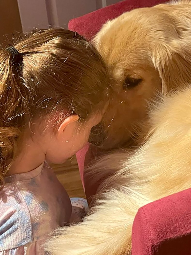Dog Story Feature