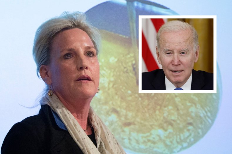 Erin Brockovich on Joe Biden