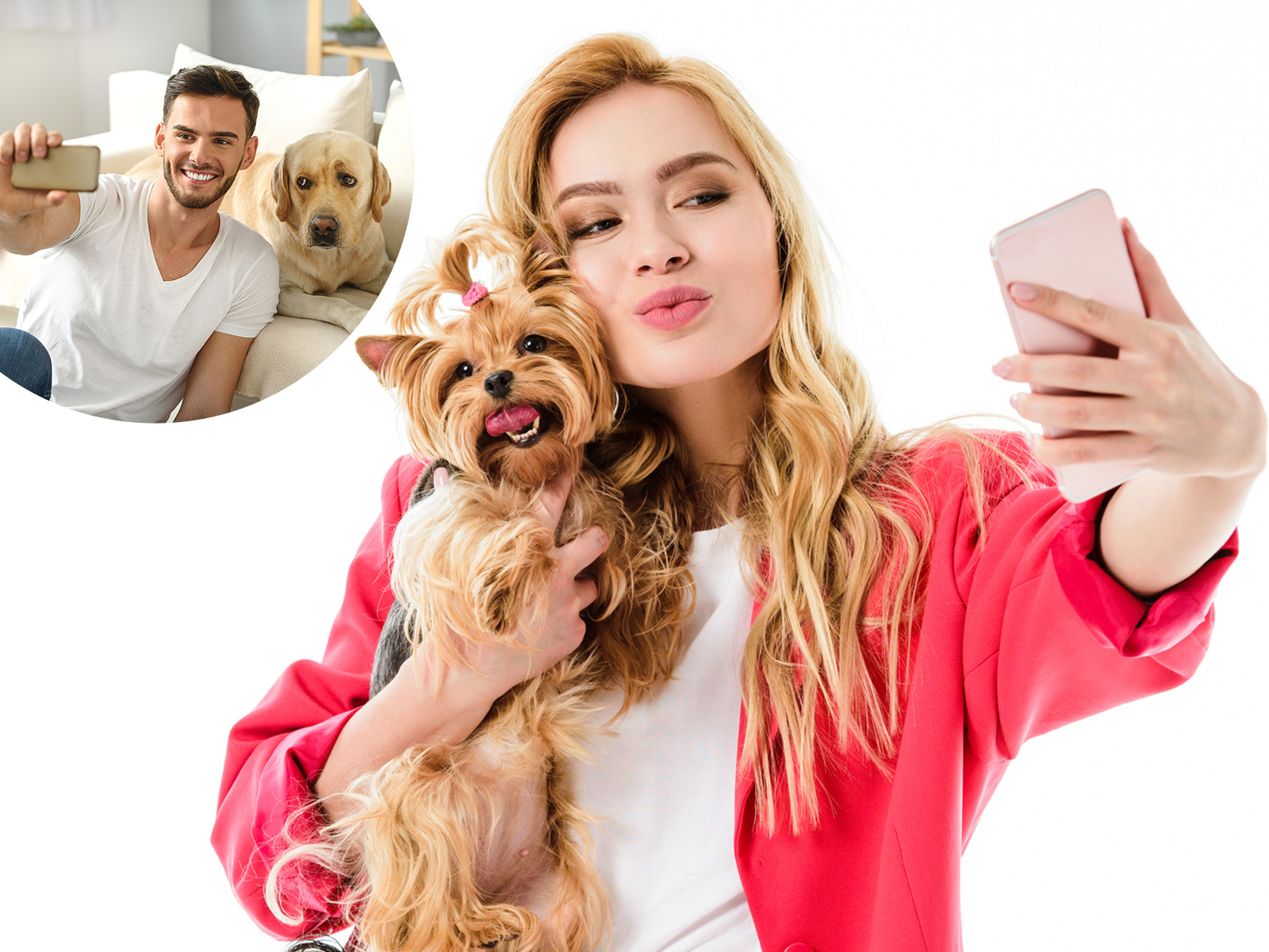 Attention Singletons, Why Selfies With Your Dog Make You More Attractive
