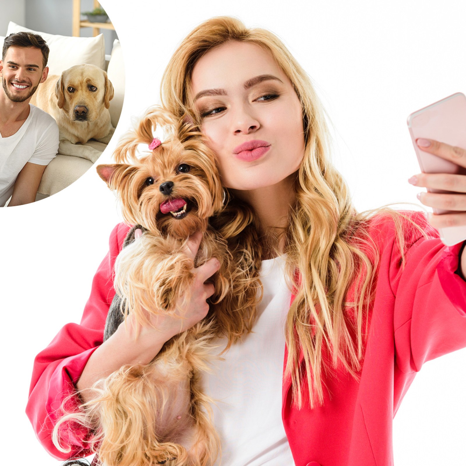 How Much Attention Should I Give My Dog how-much-attention-should-i-give-my-dog