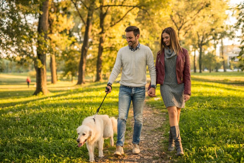 Couple holding hands while walking dog