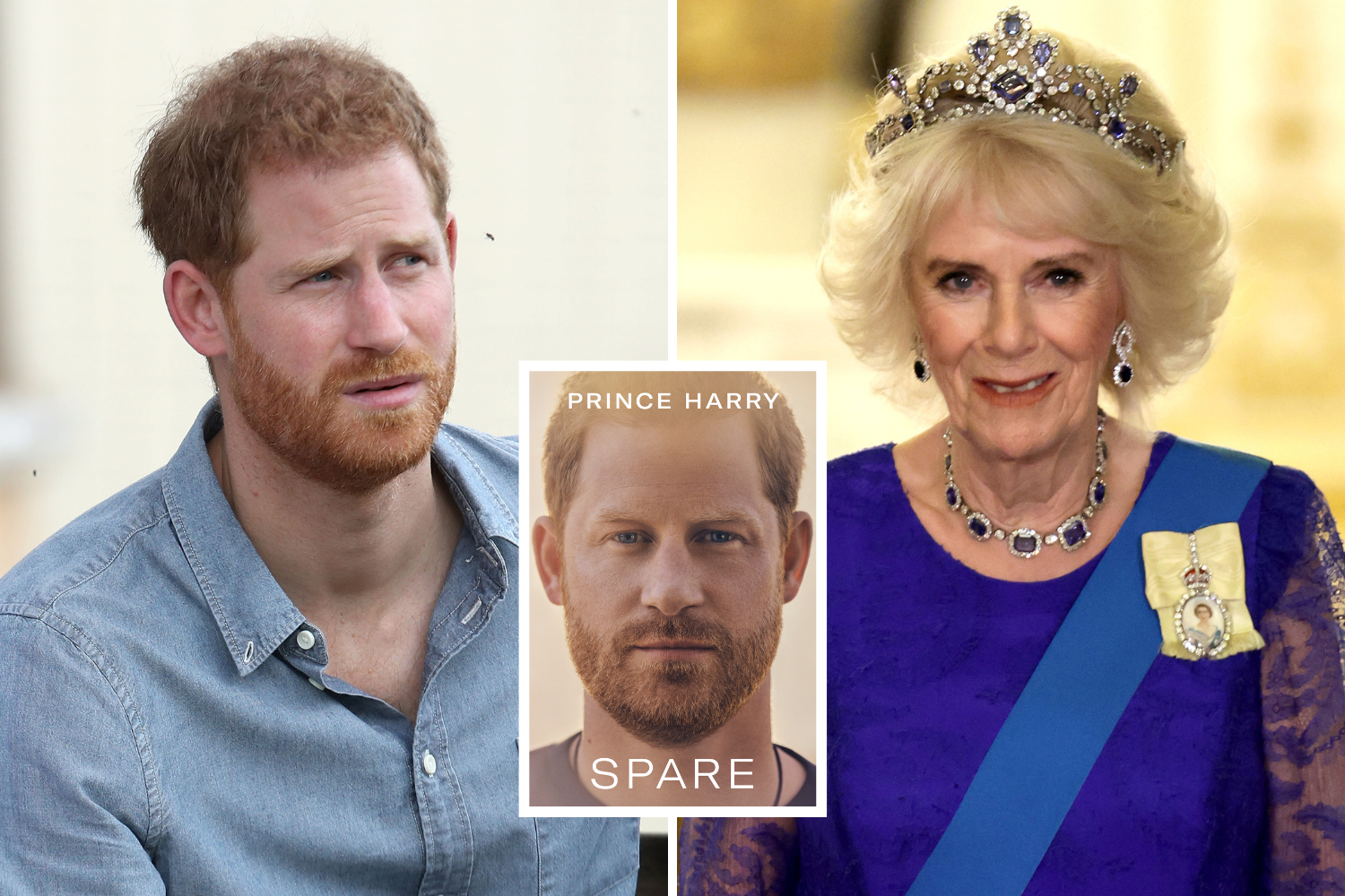 Five Times Prince Harry Slammed Queen Camilla In Public: 'The Villain ...