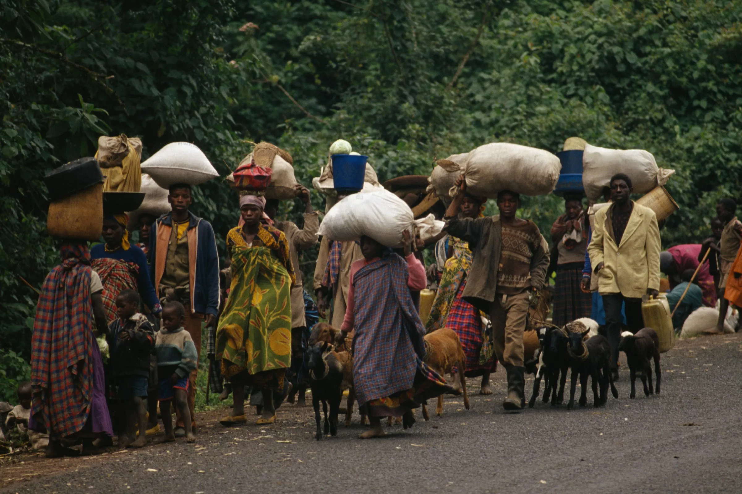 'I Survived Genocide, But My Family Was Torn Apart' - Vimarsana News