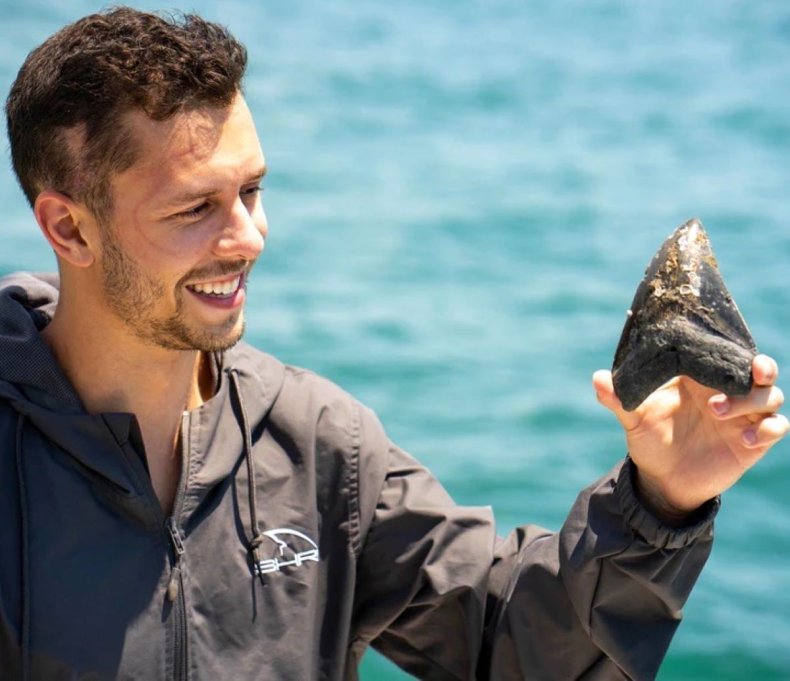 'Take Mating Season Seriously,' Says Florida Man After 3 Alligator Bites Jeffrey Heim with megalodon teeth