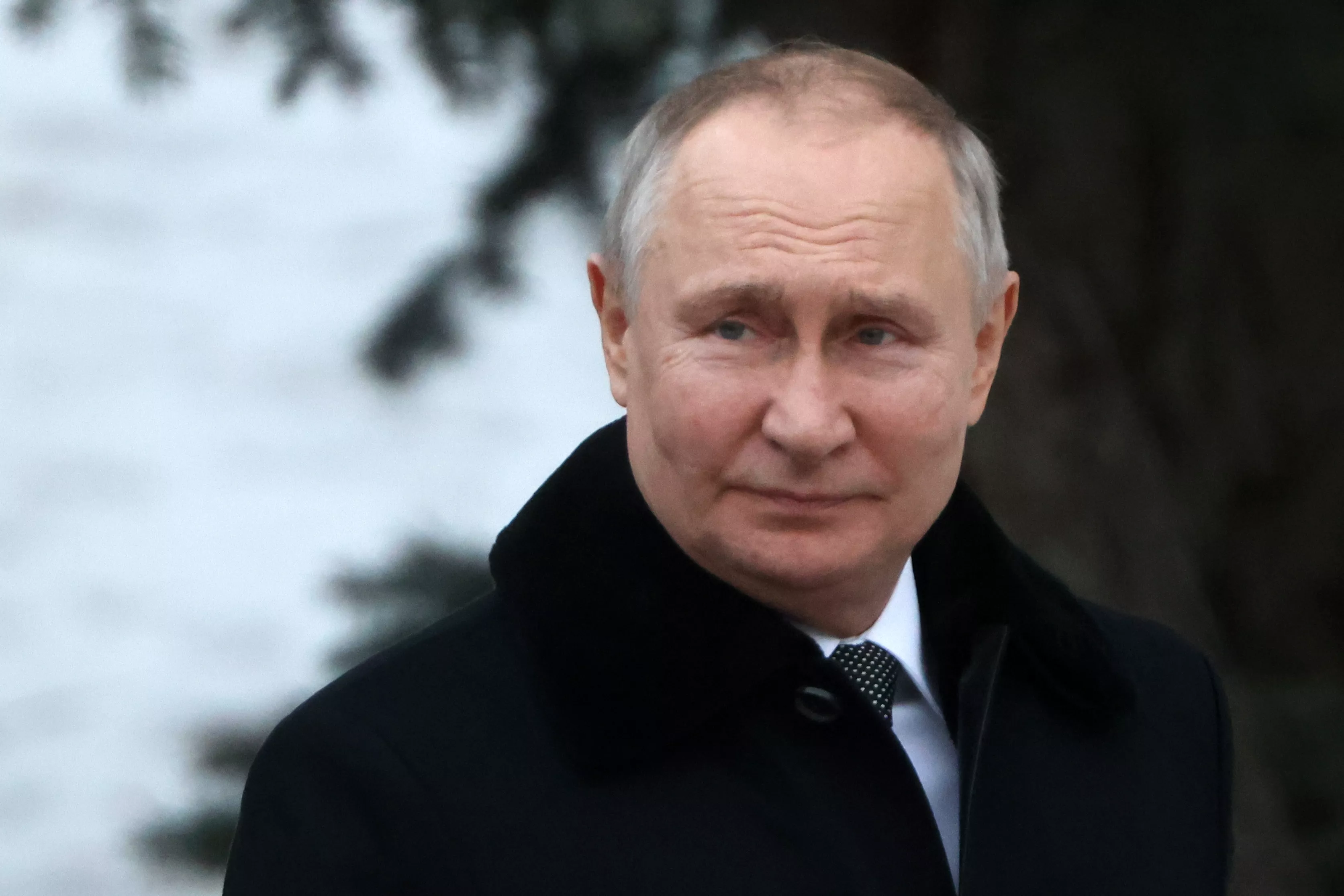 Putin Discusses Possibility That Global Warming Has Peaked - Vimarsana News