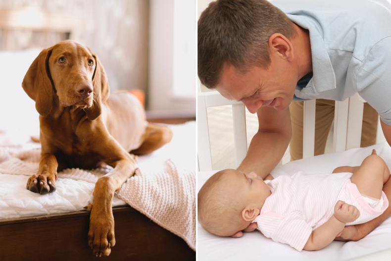 Baby and dog