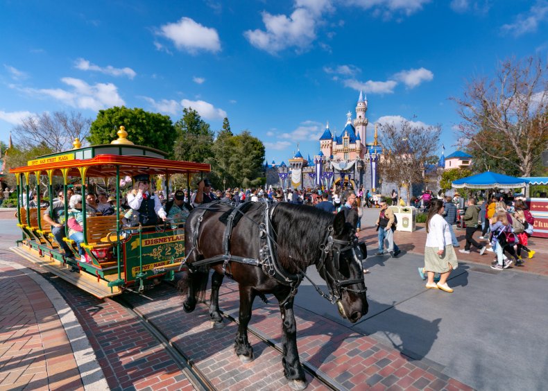 General views of the Disneyland Resort