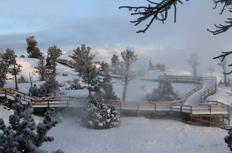 Yellowstone National Park snow