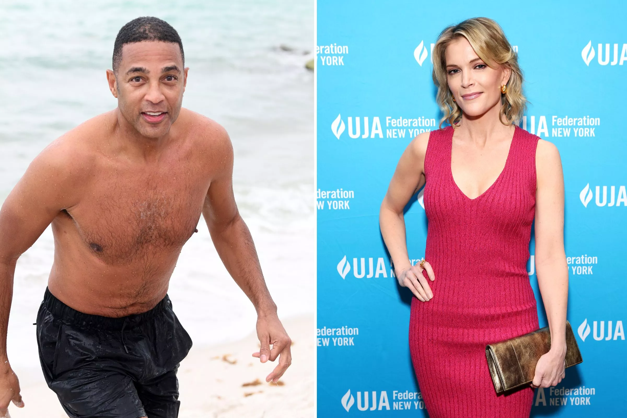 Megyn Kelly Calls Don Lemon 'Black, Gay Male Who Is Uncancellable' - Vimarsana News