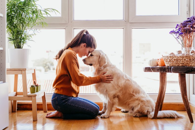 A woman with golden retriever at home.