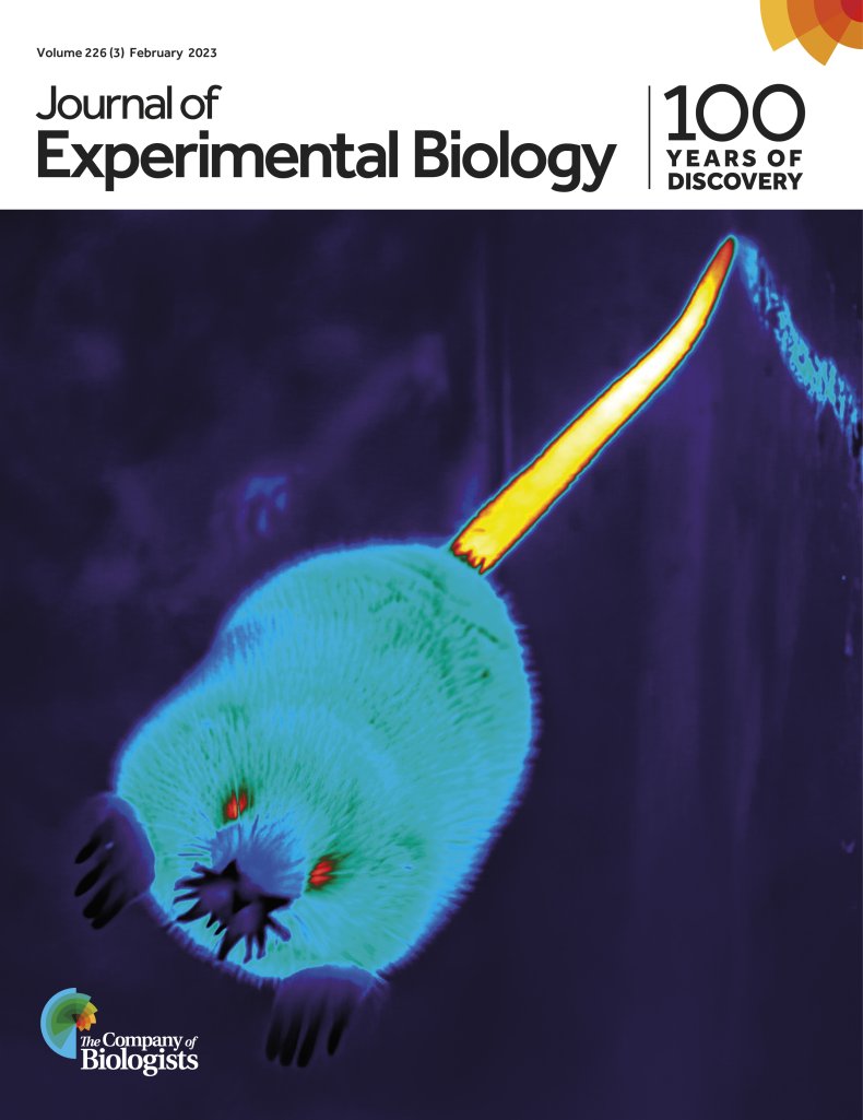 Cover of the Journal of Experimental Biology