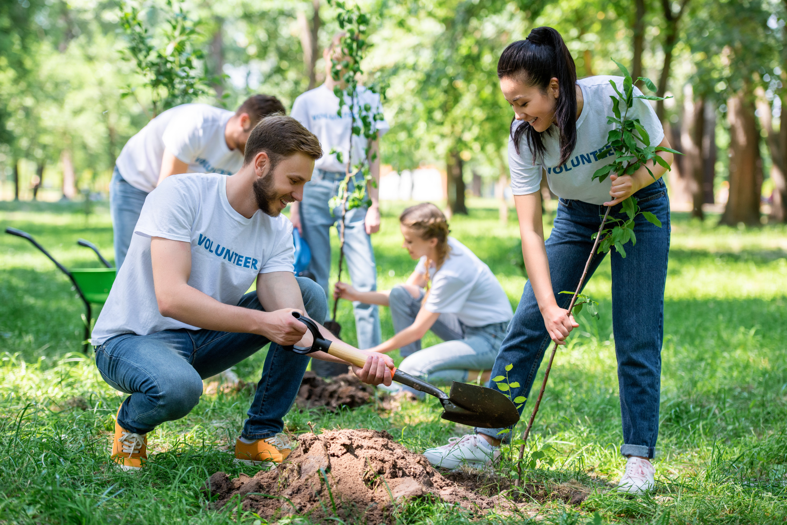 People planting trees