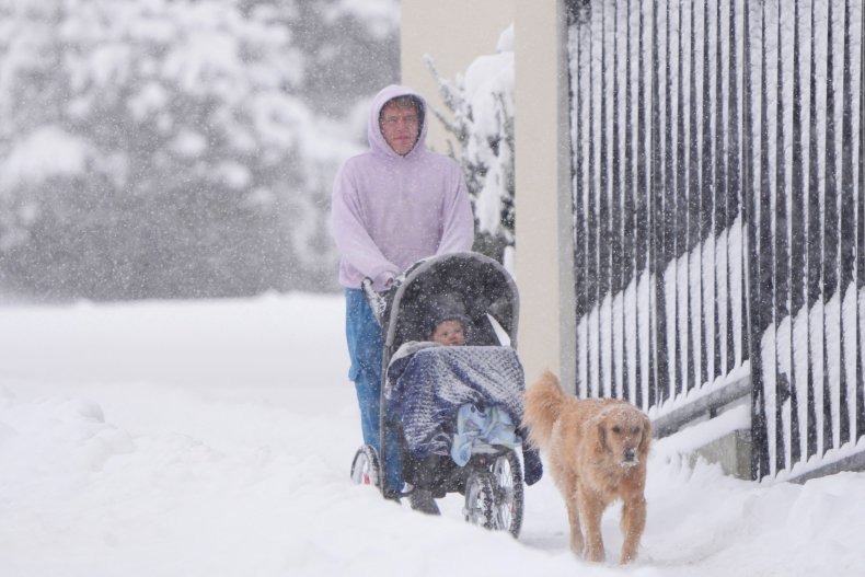 Person walks dog in snow