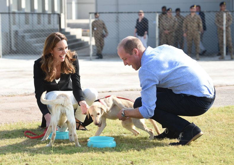 Prince William and Kate Middleton Puppies