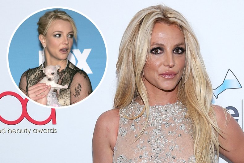 Britney Spears' dog reportedly bites man