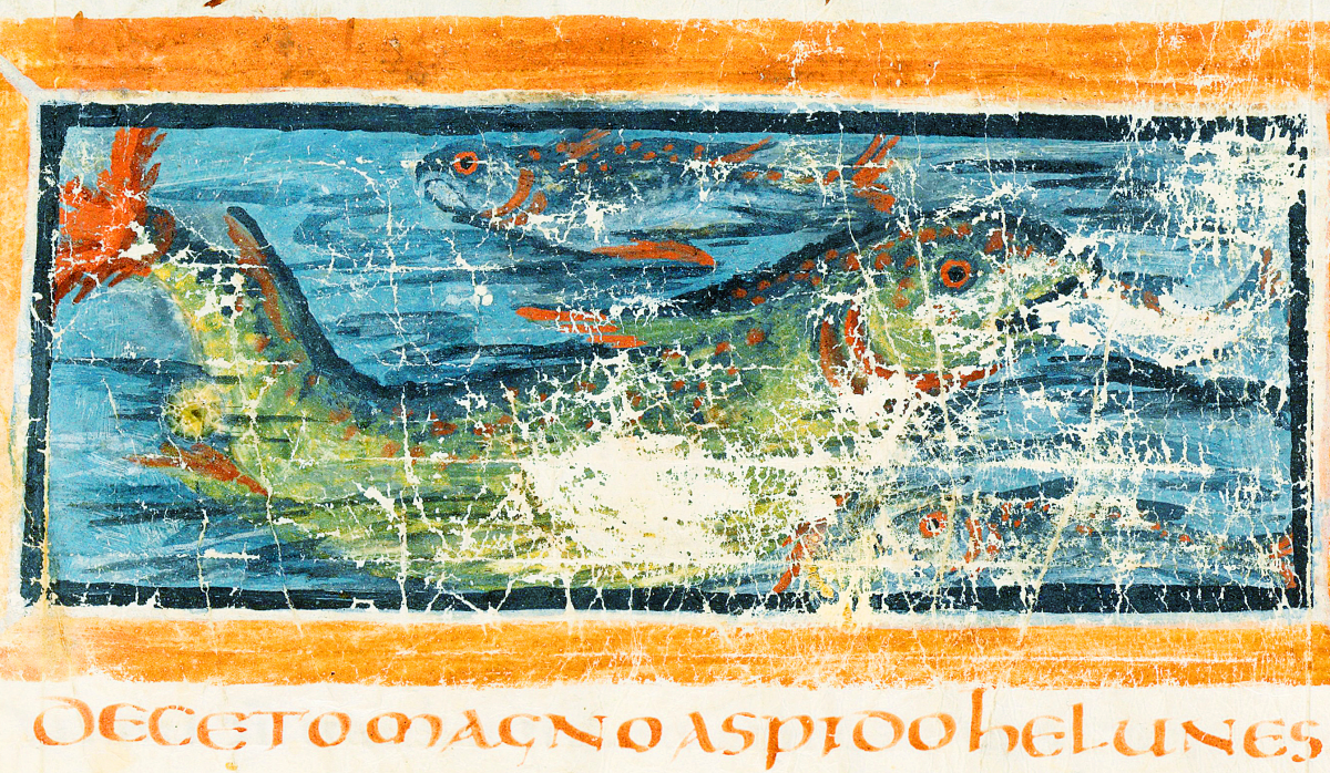 Depiction of an aspidochelone sea creature