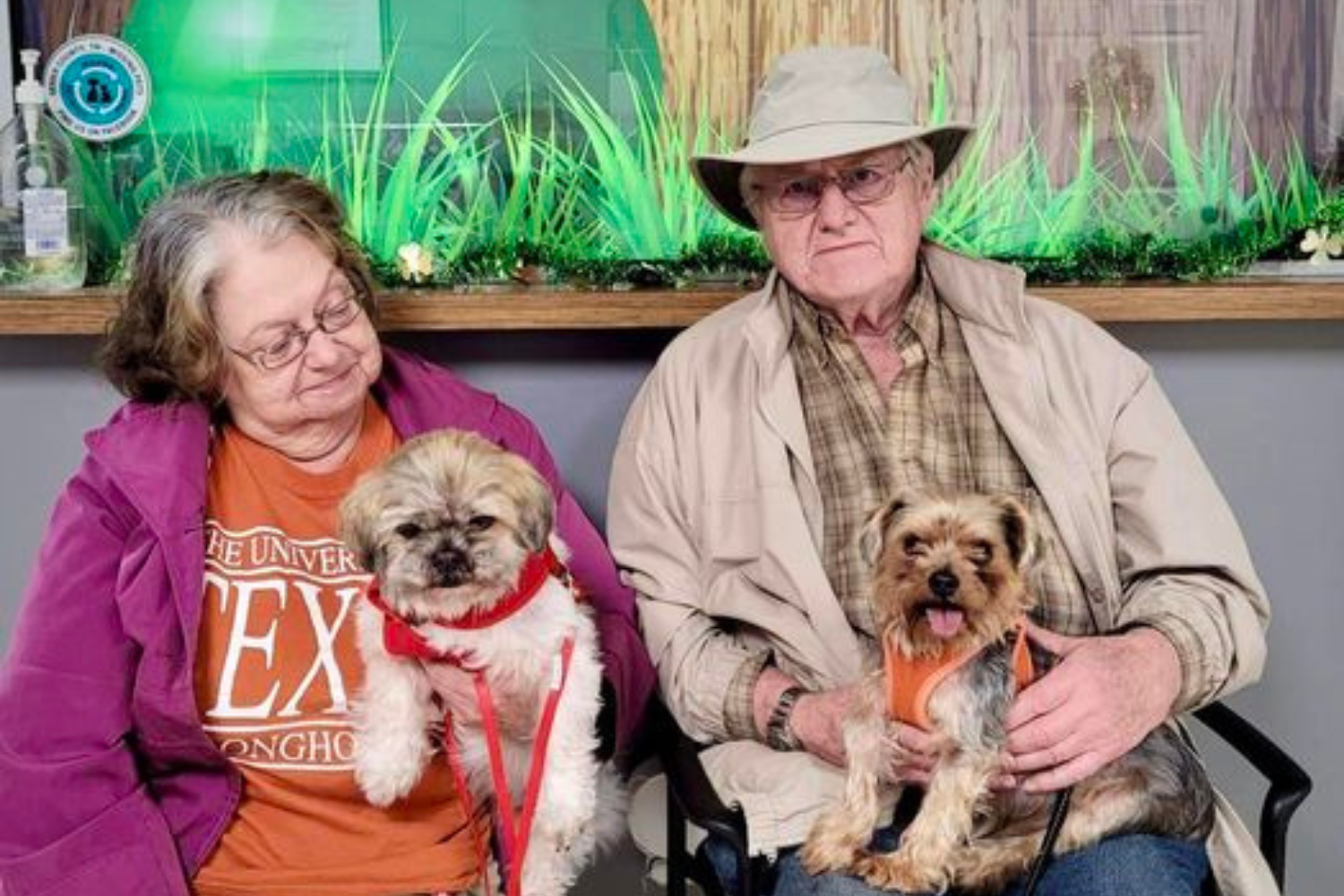 a-picture-of-perfection-elderly-dogs-adopted-together-after-owner-dies