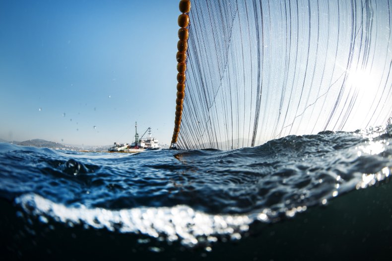 Fishing net and fishing vessel in ocean