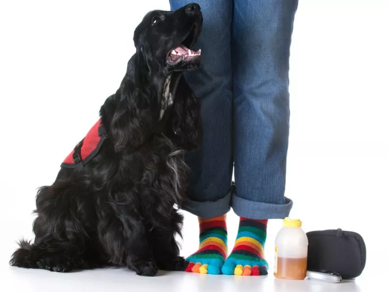Man who refuses to allow his service dog to be taken to his house sparks anger Man who refuses to allow his service dog to be taken to his house sparks anger