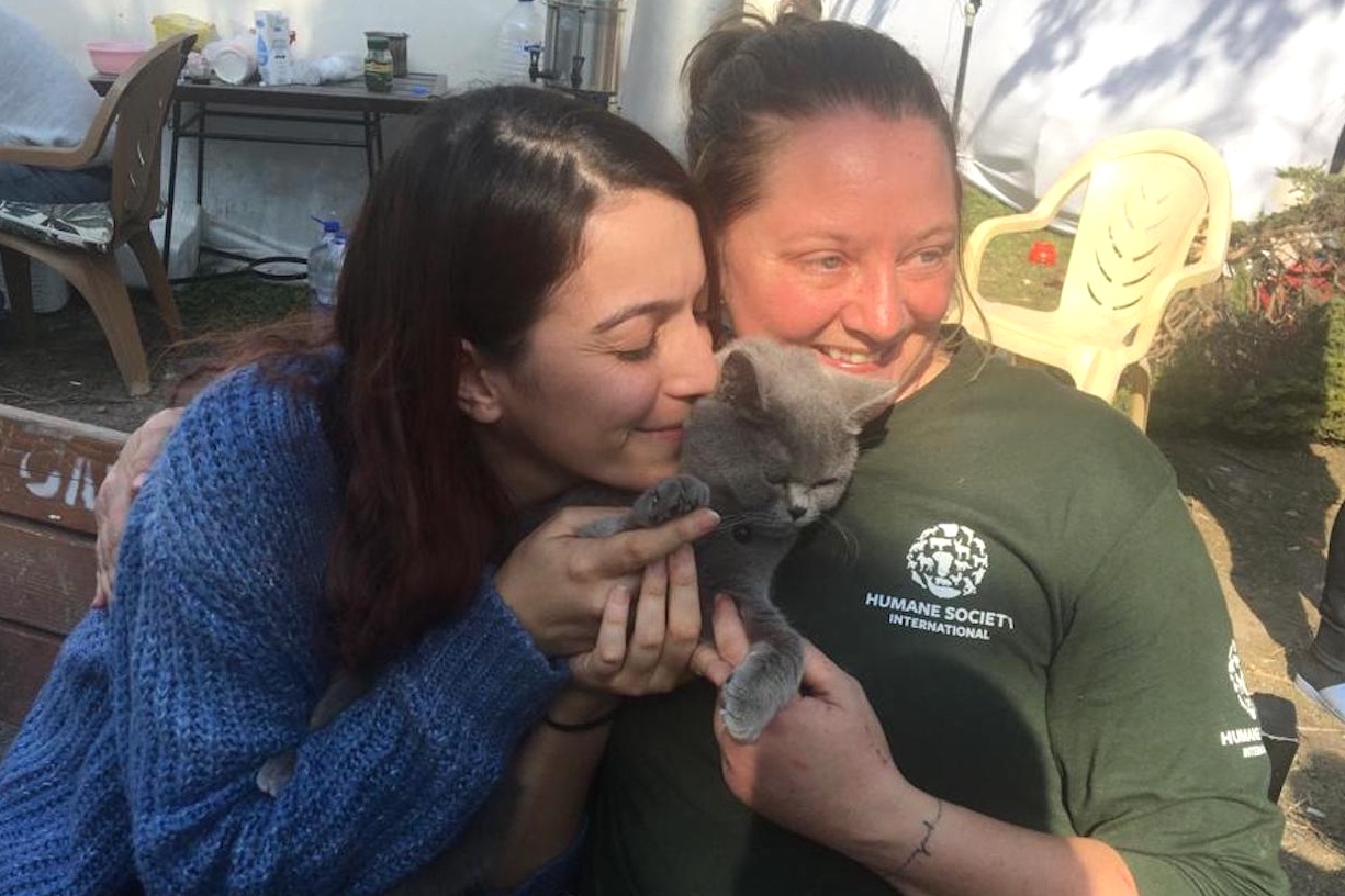 cat owner reunited after earthquake