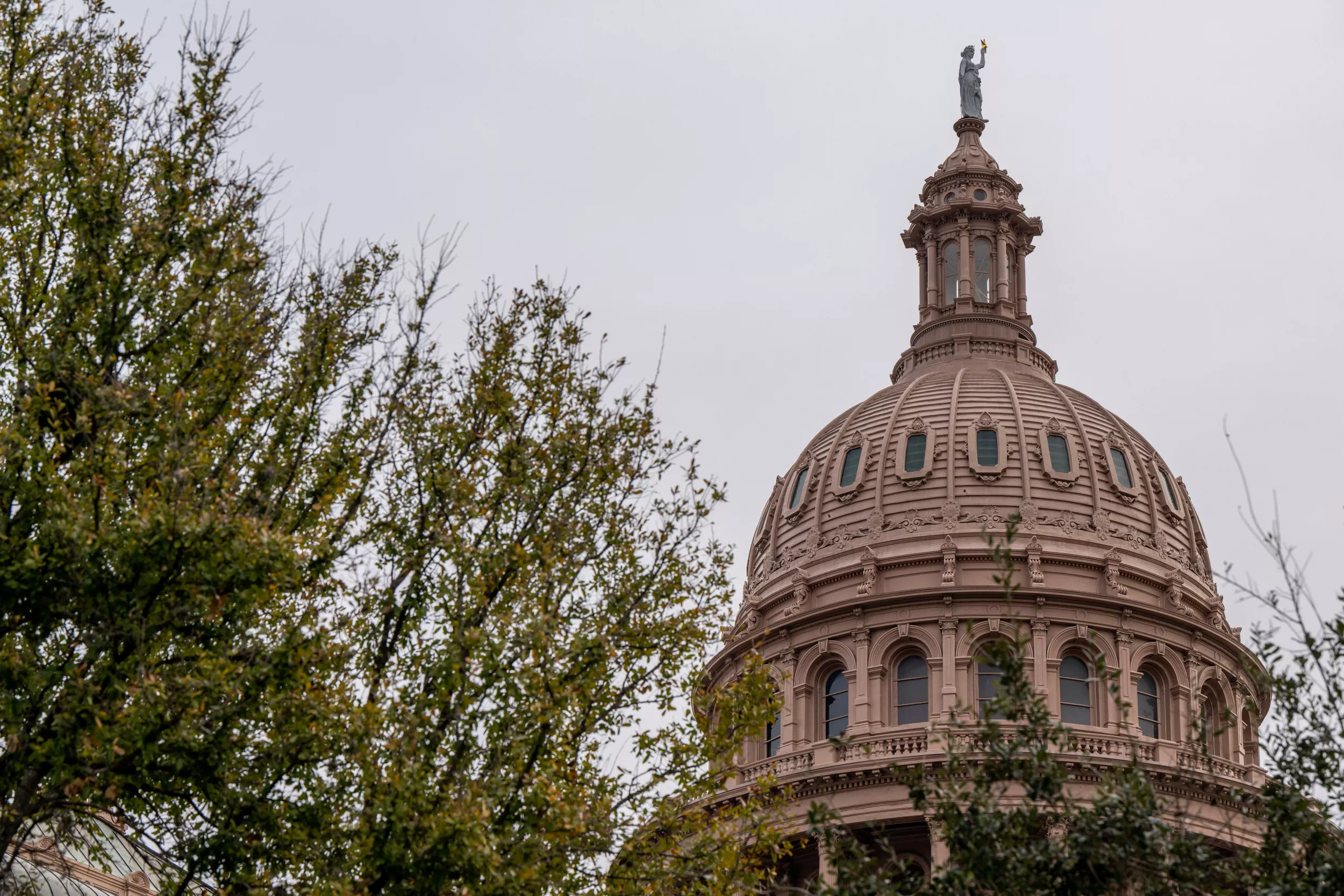 Texas GOP Lawmaker Behind Anti-Drag Bill Says He Wore Drag Only as a Dare - Vimarsana News