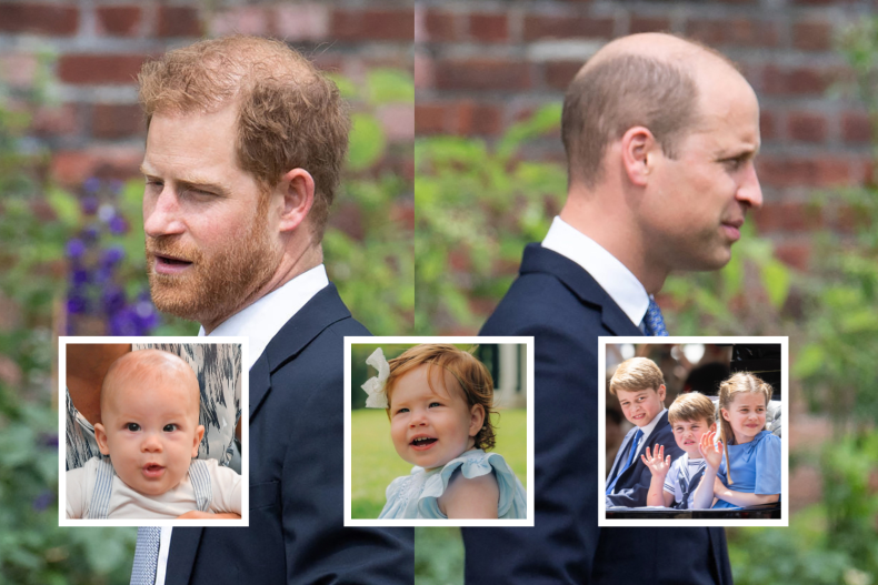 Prince William and Prince Harry Royal Cousins
