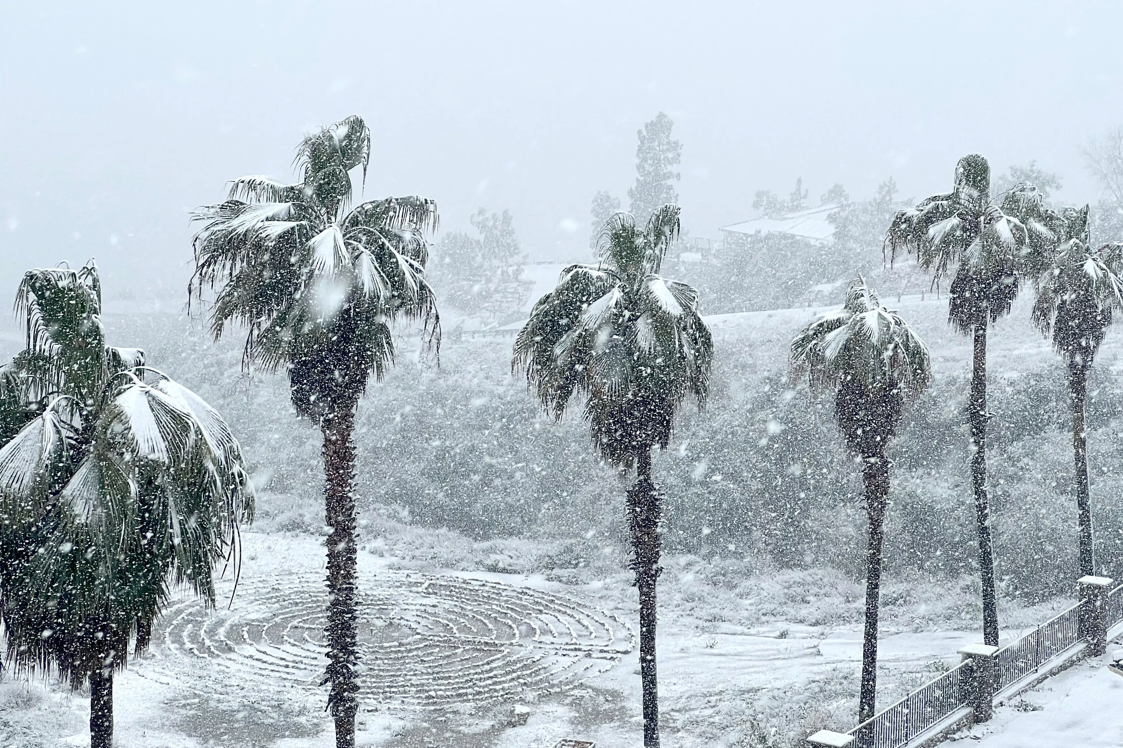California Reservoir Water Levels Before and After Winter Storm - Vimarsana News