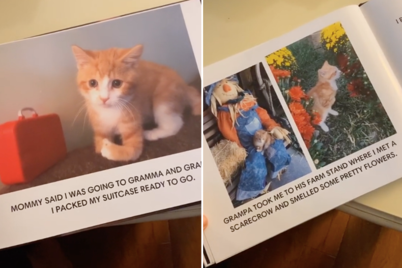 Ricky the kitten's book
