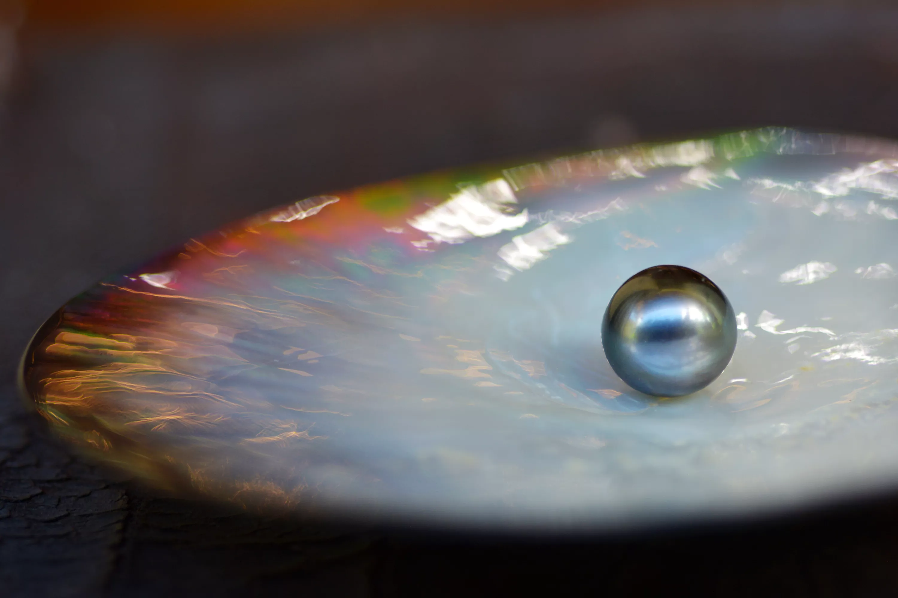 Fiancé Diving in Pacific Ocean to Find a Pearl for Engagement Ring Praised - Vimarsana News