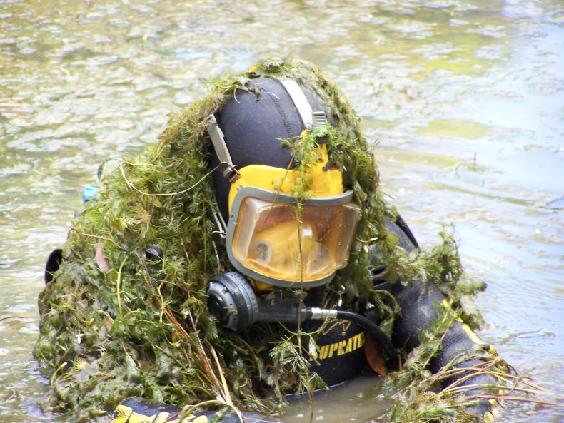 Diver covered in cabomba