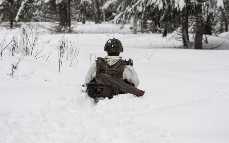 Estonian soldier in snow Tapa NATO drills