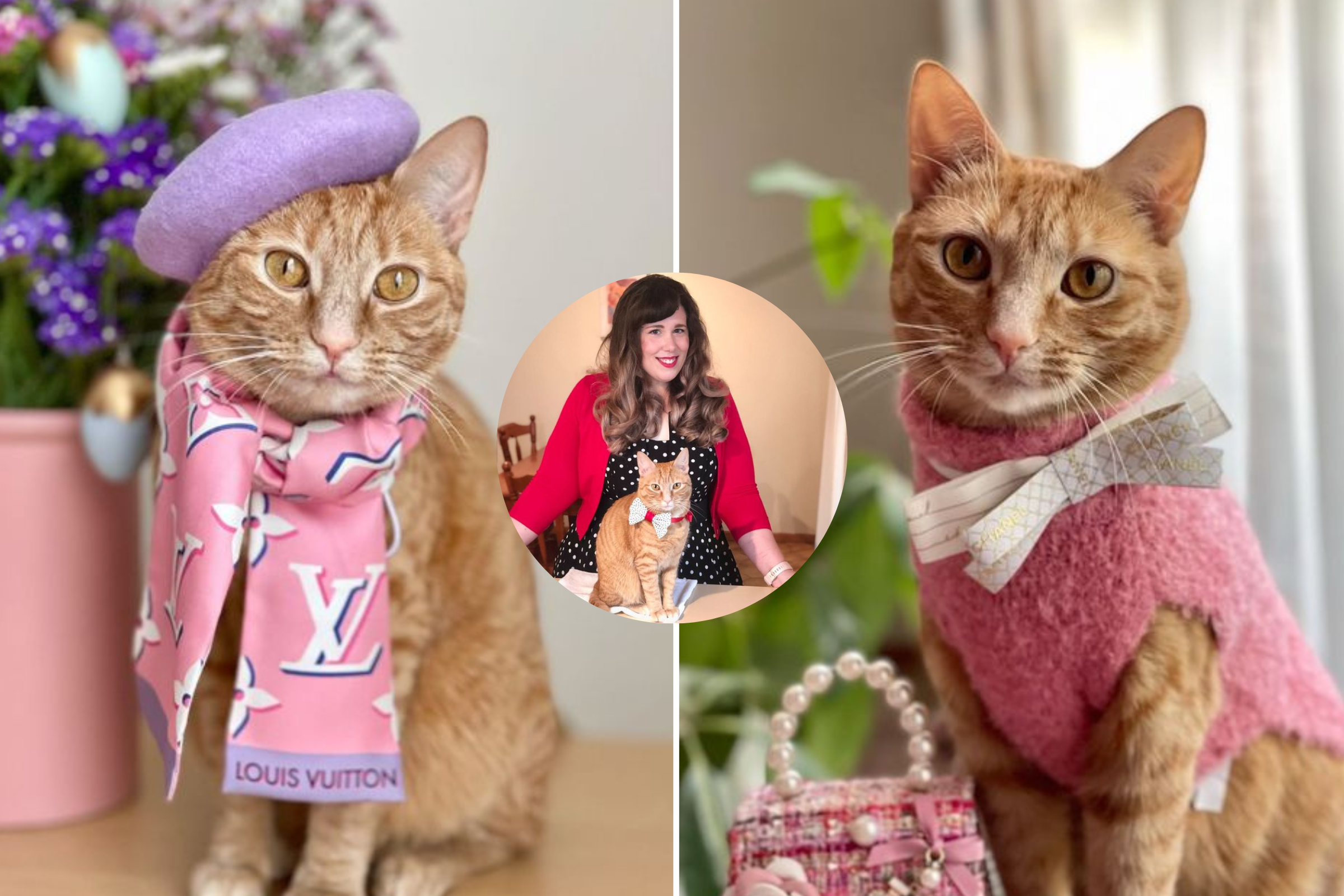 Woman Shows Off Rescue Cat's 'Princess Bedroom' and $5K Designer Wardrobe