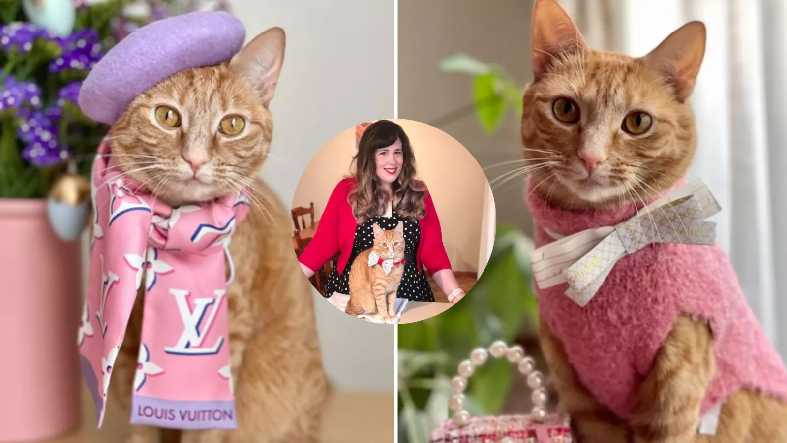 Woman Shows Off Rescue Cat's 'Princess Bedroom' and $5K Designer