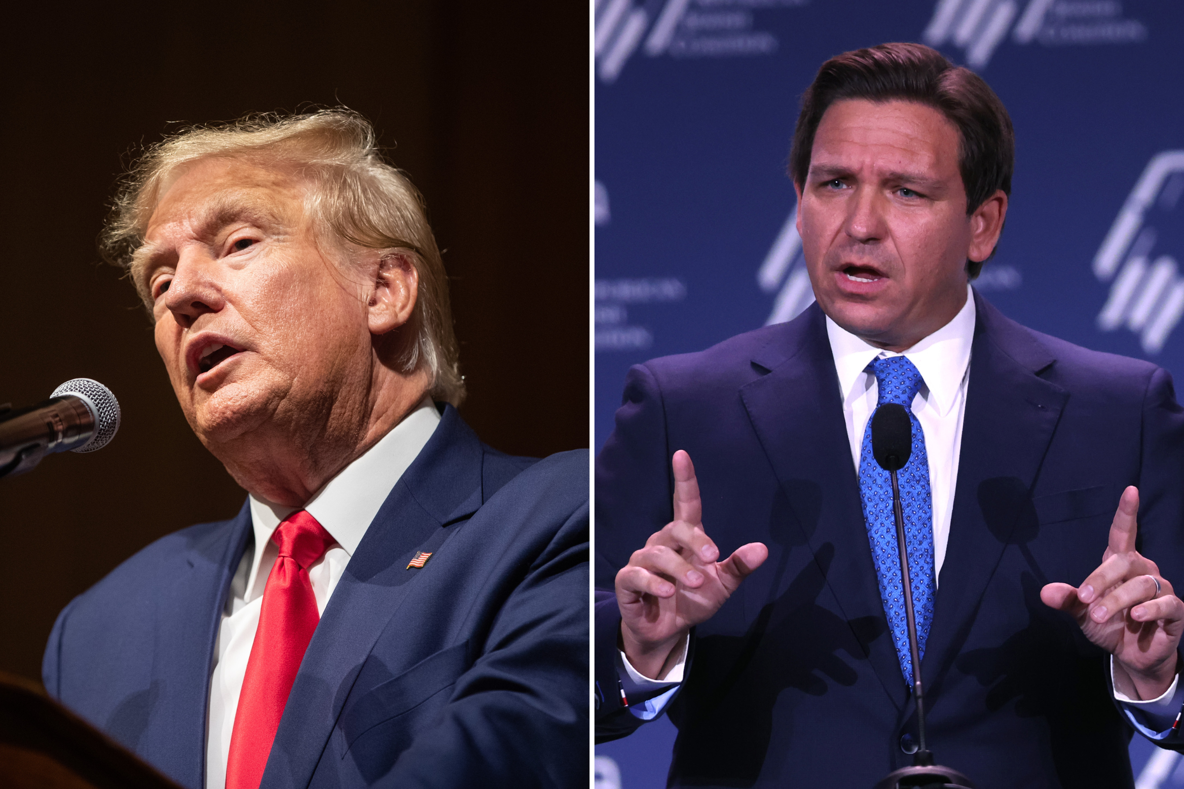 Fox News Contributor Warns Donald Trump: 'Don't Fight Ron DeSantis'