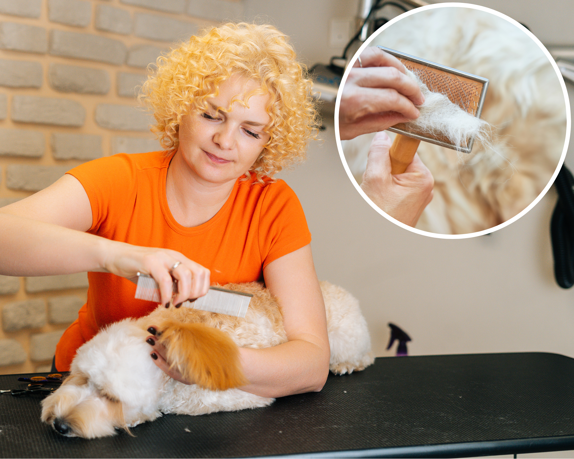 Groomer Shares 6 Tricks To Stop Your Dog's Fur From Matting